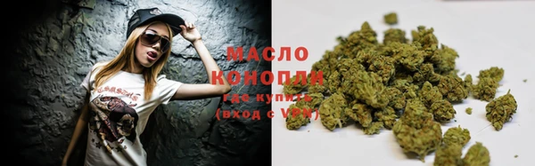 трава Коряжма