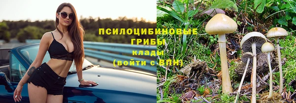 трава Коряжма