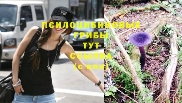 трава Коряжма