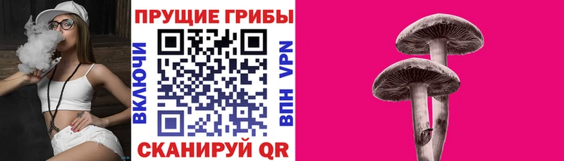 Псилоцибиновые грибы ЛСД  сколько стоит  Луга 