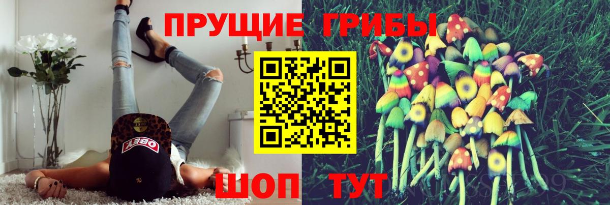 где можно купить наркотик  Вход с VPN  Луга  Галлюциногенные грибы ЛСД 